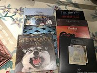 Front covers of six of the LPs including Steppenwolf, Led Zeppelin, Meat Loaf, The Police, The Who, Bob Seger