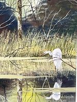 Close-up of egret and marsh detail