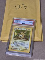 Front view of PSA-encased Raichu holo card showing label and grade