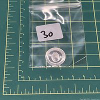 Coin in plastic bag shown with scale grid