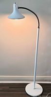 Full view of lamp illuminated showing overall design