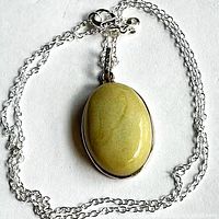 Necklace coiled showing serpentine pendant and chain clasp