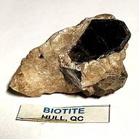 Overall view of biotite specimen with label