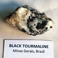 Overall view of tourmaline in quartz specimen with label indicating origin