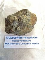 Chalcopyrite specimen with printed label showing locality