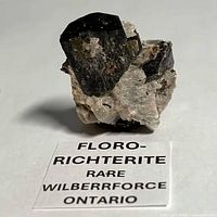 Front view of fluoro-richterite specimen with label