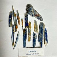 Group of blue kyanite blades and matrix fragment on labeled sheet