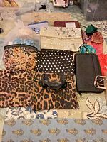 Overall view of assorted pouches and organizers laid out