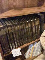 Shelf view showing all 18 matching volumes