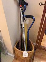 Basket with multiple canes visible