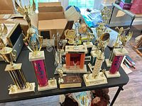 Group of trophies on table showing quantity and variety