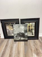Front view of the three wall art pieces showing frames, mats, and canvas