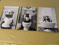 All three canvas prints laid out side by side