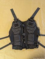 Front view showing plastic armor plates and straps