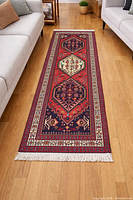 Runner rug laid between sofas on wood floor showing full length, fringe visible both ends