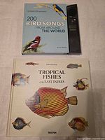 Both hardcover books front covers visible with audio module