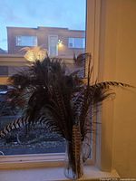 Feathers displayed in glass vase on windowsill
