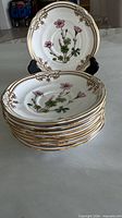Stack of eight Spode Oxalis saucers with one displayed on stand