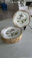 Stack of twelve Spode Stafford Flowers plates, one displayed upright