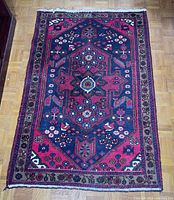 Full view of rug showing overall design and colors