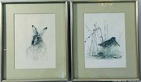 Both framed prints side by side showing hare and shorebird subjects