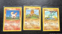 Front view of three sleeved Pokémon cards: Ponyta, Diglett, Machop