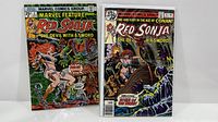 Front covers of both comic books in bags