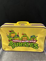 Front view showing TMNT graphic and exterior colours