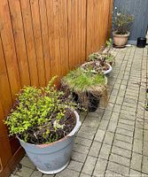 row of five plastic planters against fence