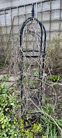 Full view of black metal trellis in garden
