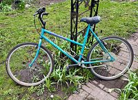 Full view of Schwinn Woodlands step-through bicycle outdoors