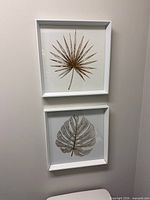 Front view of both framed botanical prints