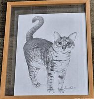 Full view of framed cat sketch