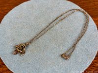 Full view of necklace showing chain length and pendant
