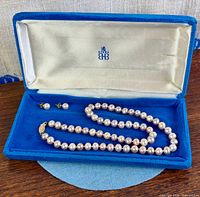 Necklace, earrings and Birks case overview