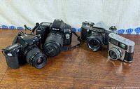 Group shot of all four cameras arranged on wooden surface