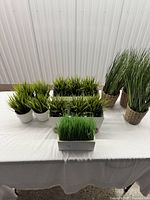 All eight artificial grass arrangements on table