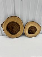 Pair of wood slices front view