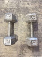 Both 20 lb hex dumbbells side by side