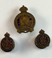 Front view of numbered badge and two lapel pins