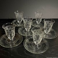 Group view of five etched tumblers each on a matching etched plate