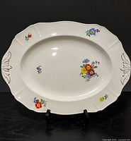 Front view of Alfred Meakin oval floral platter