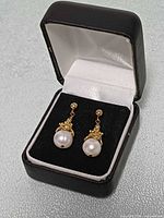 Earrings in presentation box, showing overall design