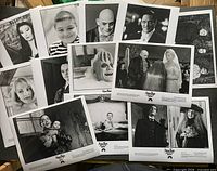 Top view of all twelve photos spread out