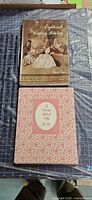 Front view of both hardcover books showing dust jackets