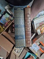 Spine view showing titles, gilt designs, and publisher