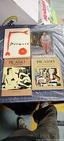 Four Picasso books laid out showing covers