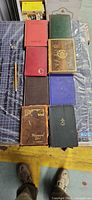 Top view showing all eight books laid out to display covers and colors
