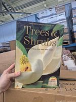 Front cover of the encyclopedia showing title and magnolia image