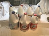 Front view of all seven bleach jugs showing labels and caps